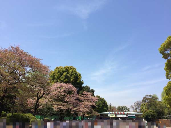 上野動物園　表門前
