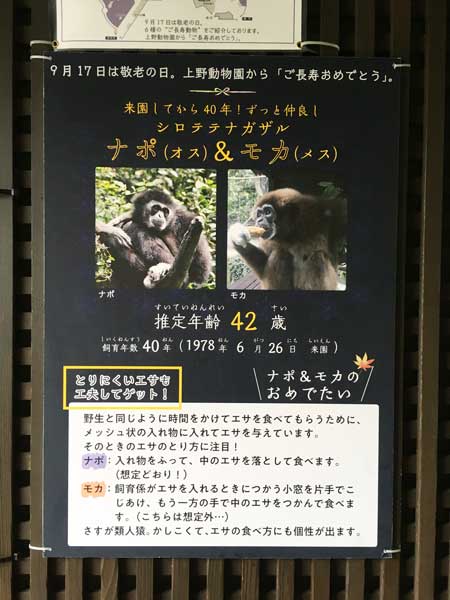 上野動物園　園内