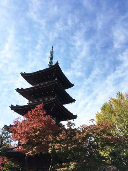 上野動物園　五重塔